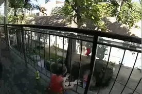 美国女孩玩耍时头卡栏杆 警察用破门锤一招搞定图片