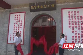 绥宁党史陈列馆正式开馆图片