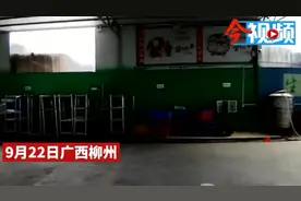 呕！柳州一冷库停业后千斤鸡鸭腐烂生蛆，50米外都能闻到臭味图片