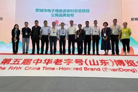 扬帆起航，肥城市“好运桃都”公用品牌正式发布图片