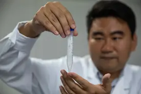二氧化碳人工合成淀粉，未来有望通过工厂“制造”粮食吗？图片