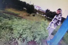 事发河北！一男孩被父母扔在了高速上，怎么回事？图片