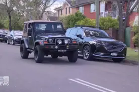 澳大利亚男子进杂货店10分钟后返回 发现车内被一群蜜蜂占领图片