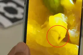 月子餐惊现蜘蛛，宝妈被吓得吃不下饭！月子中心：难免会有失误图片