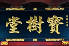 青口这个发端于海岛的家族，藏着最负盛名的“宝树”图片