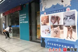 小猫在宠物医院抽血后休克死亡！发生宠物医疗纠纷，如何维权？图片