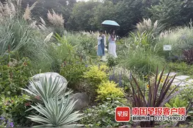 假期嗨玩攻略南宁公园行图片