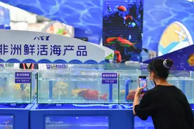 非洲海鲜受到中国消费者青睐图片