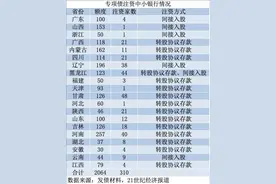 专项债注资中小行图谱：2064亿额度通过两种方式注资20省份310家银行图片