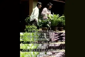 国庆刷剧——《父母爱情》：越过越好的婚姻，都懂得相互“改造”图片