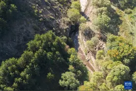 27只麋鹿“落户”内蒙古大青山国家级自然保护区图片