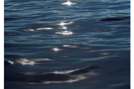 深圳盐田凯悦酒店 | 云影旅居，山海假期图片