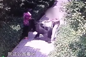 8旬老人被狗咬出6个牙印！主人在场却拒不承认：老太太自己摔的图片