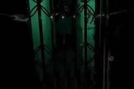 不顾家人反对做密室演员，杭州23岁小伙：国庆首日，我演了11遍中年大妈图片