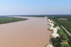 惠民：建设黄河生态廊道，助力黄河生态保护图片