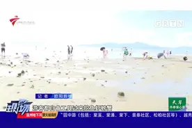 惠州巽寮湾道路交通饱和 广东多地景区限流