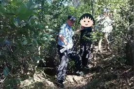 杭州一对母女爬山被困：1个多小时没搞清方向！又是这个原因图片