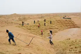 甘肃古浪县八步沙林场：发扬当代愚公精神 把“沙窝窝”变成“金窝窝”图片