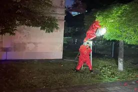 国庆佳节，松山湖“红衣人”抱走篮球大小马蜂窝图片