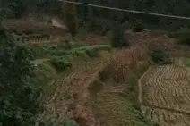 汉中​南郑突发泥石流！​陕西启动IV级防汛应急响应！从四川方向回西安注意图片