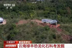 恐龙的祖先是什么？“化身为石”分几步？死后为何头朝东方？……穿越亿万年，一起探索远古的奥秘图片