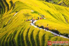 新目的地受追捧、“双减”引爆亲子游学……国庆假期桂林共接待游客384.82万人次图片