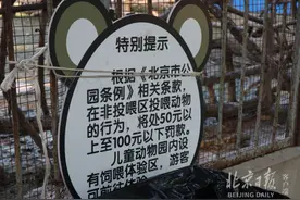 北京动物园：监控全覆盖，多设曝光台，投喂动物却屡禁不止图片