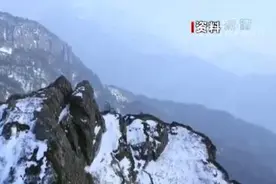 神农架川金丝猴 从“冰川遗孤”到“最美灵长部落”图片