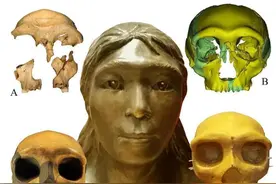 30万年前古人类长什么样子？科学家最新复原华龙洞人容貌图片