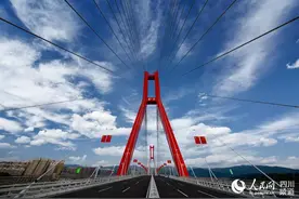 全长1664米！四川成都跨度最大斜拉桥已建成通车图片