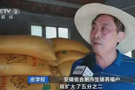 猪肉价格大跌！养一头猪亏500元？！饲料行业又迎“涨价潮”！接下来怎么走？图片