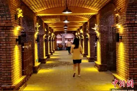 新疆天山北麓葡萄藤上的“三产”融合图片