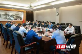 湘江新区：提高站位 不辱使命 加快建设九华新片区图片