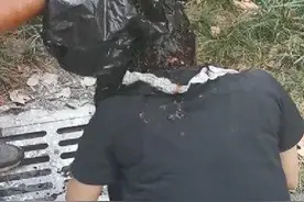 低俗直播群聚街头，惩罚游戏刷低下限图片