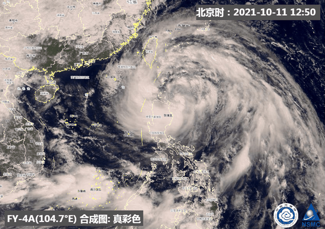 松茸花胶虫草 2026年松茸花胶虫草花鸡汤的好处