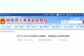 财看闪电｜2021年度山东省瞪羚、独角兽企业名单公示，快来看看哪些企业上榜图片