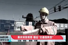 北京这起案件太奇葩：“仿真交通指挥员”成了田里的“稻草人”图片