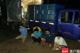 儋州货车司机企图鱼目混珠 用拉鱼货车非法运输液化气图片