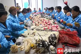 被数字改变的沭阳乡村：大量年轻人“回流”，直播成为农民“新农活”图片