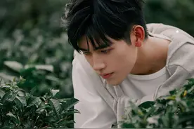 陈飞宇茶园写真意境十足 山野采茶体验超接地气图片