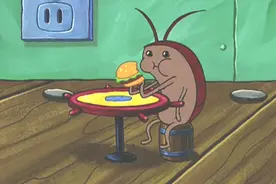 蟑螂爬进耳，白蚁家中飞......这3招可杀灭图片