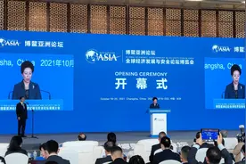 扛牢粮食安全责任 湖南粮食集团亮相首届经安会获好评图片