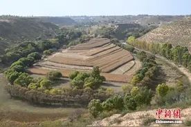 探访萨拉乌苏考古遗址公园图片