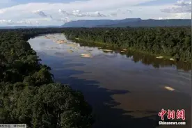 气候变化加剧亚马孙河水盐化 居民缺乏饮用水图片