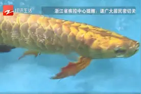 可以骗过真鱼“仿生鱼”来了，你见过吗？图片