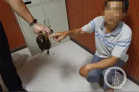 父子俩入夜抓野鸡 警察在后图片