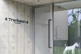 今时今日，携宠出行变得更友好了吗？图片