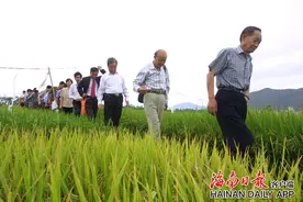 海南日报记者张杰摄影作品获第28届全国摄影艺术展览“评委会推荐作品”奖图片