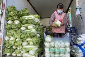 冬储大白菜悄悄登陆北京市场 大批量上市还需等小半月图片
