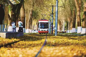 春城大街有轨电车落叶景观艺术街区等你打卡图片